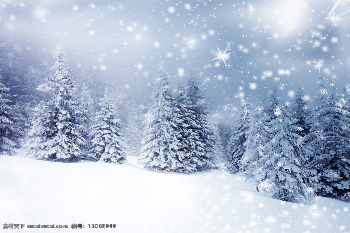 冬天 美丽 景色 光斑 雪花 雪景 松树 植物 雪地 山水风景 风景图片