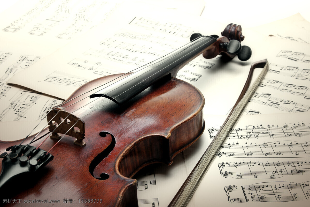 小提琴 琴 音乐 乐器 声乐 琴弦 琴谱 乐谱 音符 生活百科