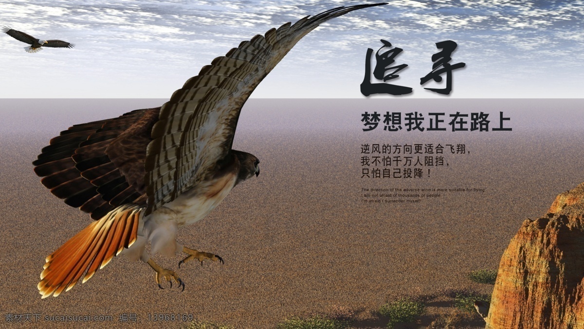 追寻 梦想 励志 展板 雄鹰 追梦 传奇