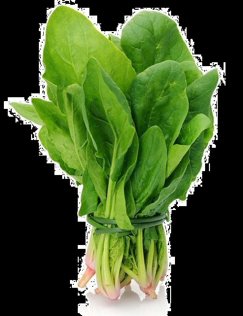 菠菜图片 开胃菜 凉拌菜 东北老虎菜 凉拌老虎菜 香辣肺片 酱八宝菜 爽口凉菜 八宝菜 开胃老虎菜 特色八宝菜 宫廷八宝菜 油麦菜 莜麦菜 蔬菜 青菜 油菜 苦麦 菜地 菜园 绿色食品 菜 绿色健康 绿色 有机 无公害 有机蔬菜 健康 安全 营养 美味 食材 生物世界 美食