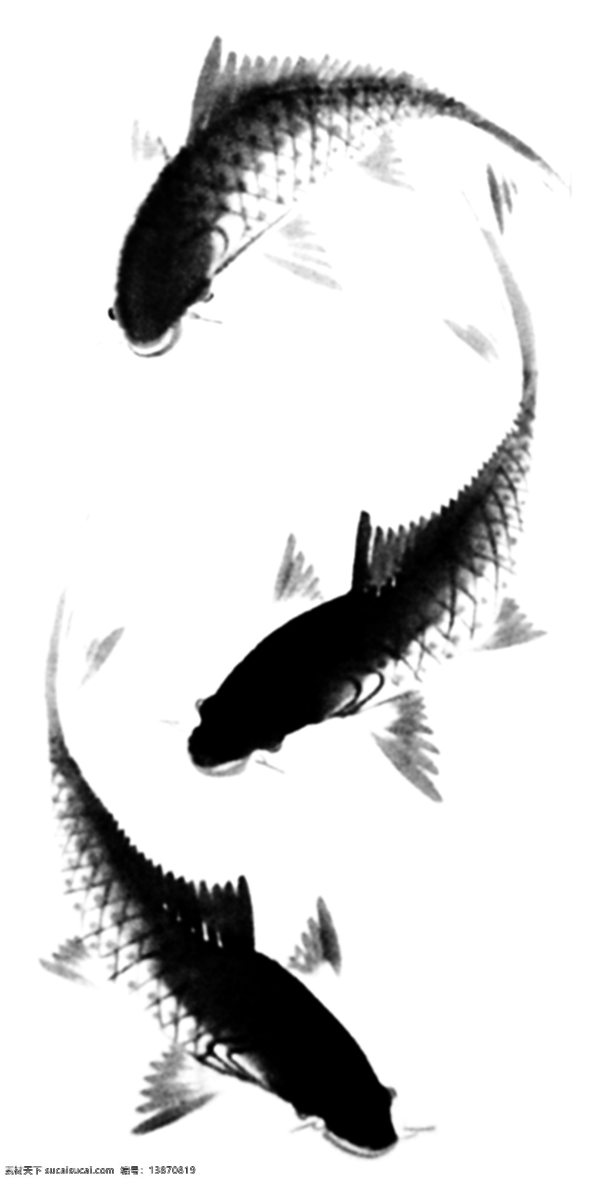 水墨鱼 水墨画 水墨 鱼 锦鲤 鲤鱼 小鱼 金鱼 国画 分层 源文件