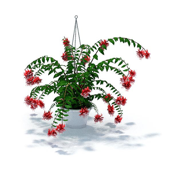 精美 紫色 吊 花 3d 模型 小花 吊花 3d模型 3d渲染 模型素材