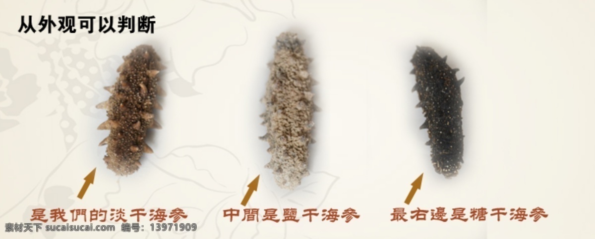 pop 补品 海参 食品类详情页 手指 淘宝主图 天猫海报 网页模板 参 淘宝 海报 模板下载 海参淘宝海报 海参详情 燕窝 商品细节图 海参摄影 电子秤 中文模板 源文件 淘宝素材 淘宝促销标签