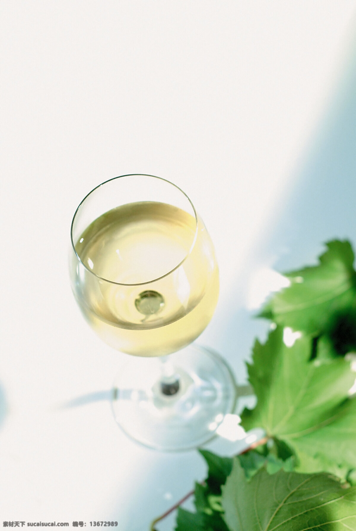 葡萄 叶 旁 一杯 葡萄酒 高清图片 竖构图 酒 酒水 金黄色 浅金黄色 玻璃杯 高脚 酒杯 装满酒的 葡萄叶 绿色葡萄叶 酒类图片 餐饮美食