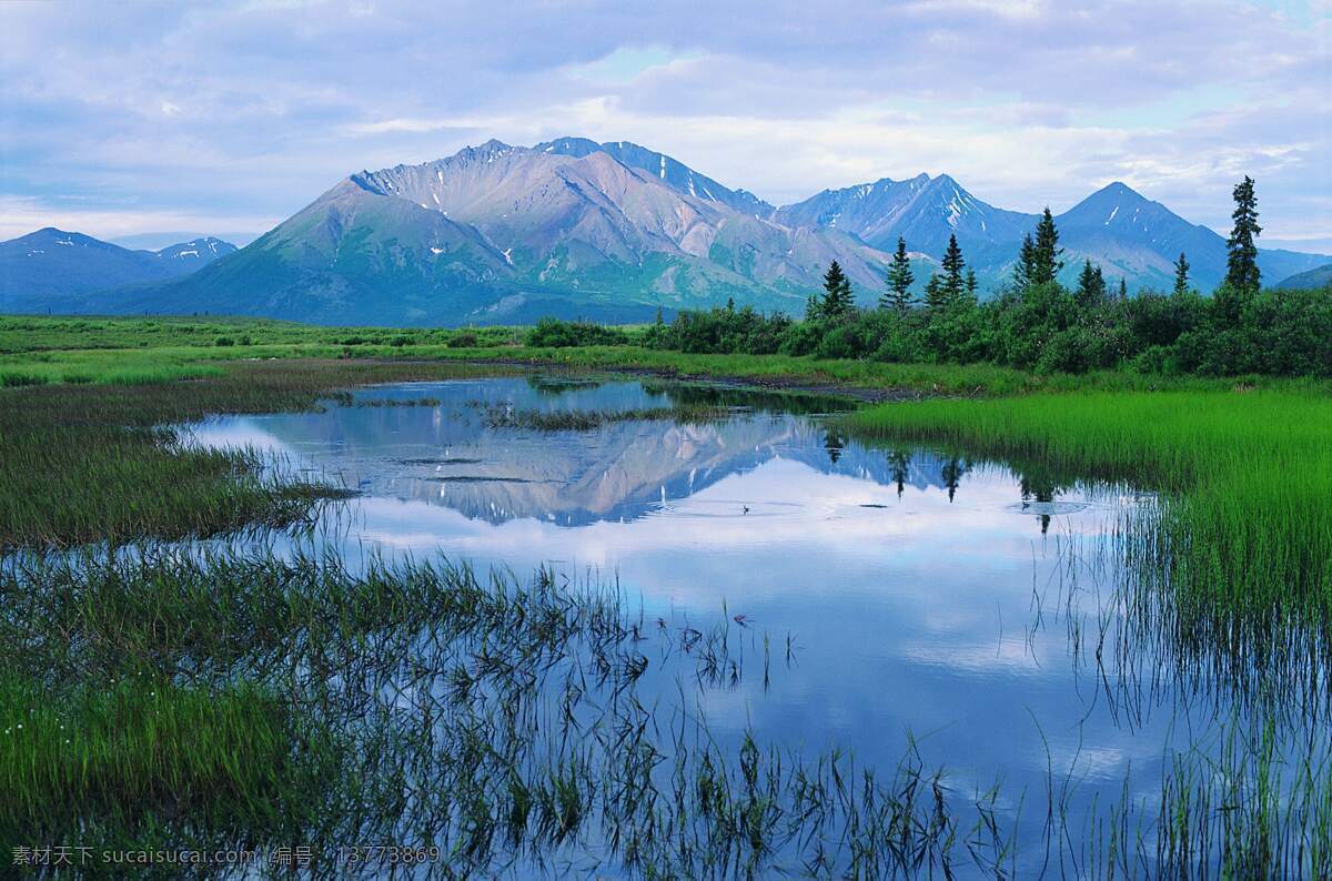 树免费下载 风景 山 山水风景 摄影图 树 植物 自然景观 水 家居装饰素材 山水风景画