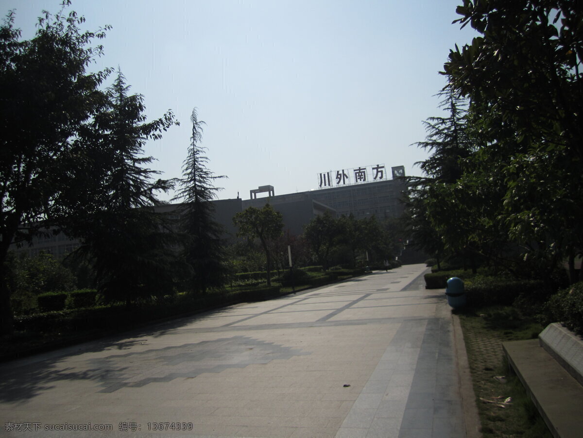 重庆 南方 翻译 学院 南方翻译学院 川外 大学风景 大学校园 树 学校摄影 建筑摄影 建筑园林 黑色