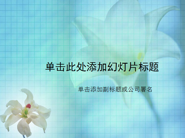 蓝色 百合花 背景 模板 ppt模板 白色百合花 花卉 植物