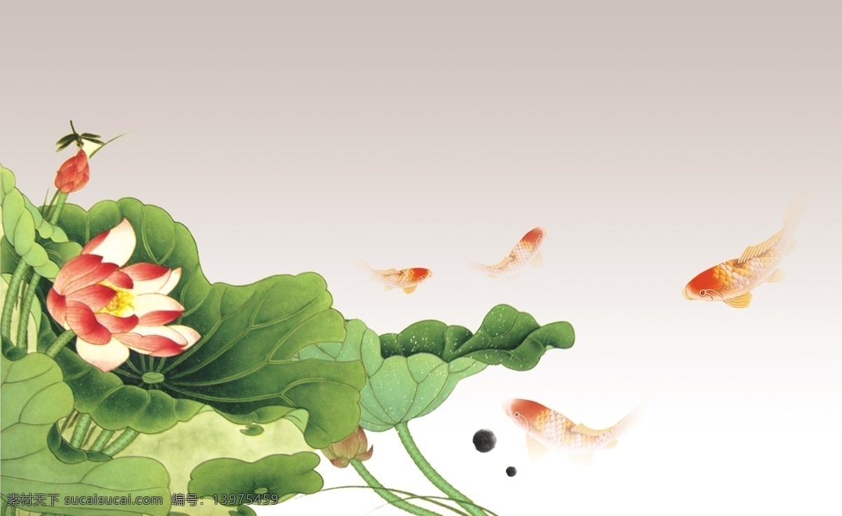 荷花 蜻蜓 鲤鱼 水墨画 清晰 实用 psd源文件