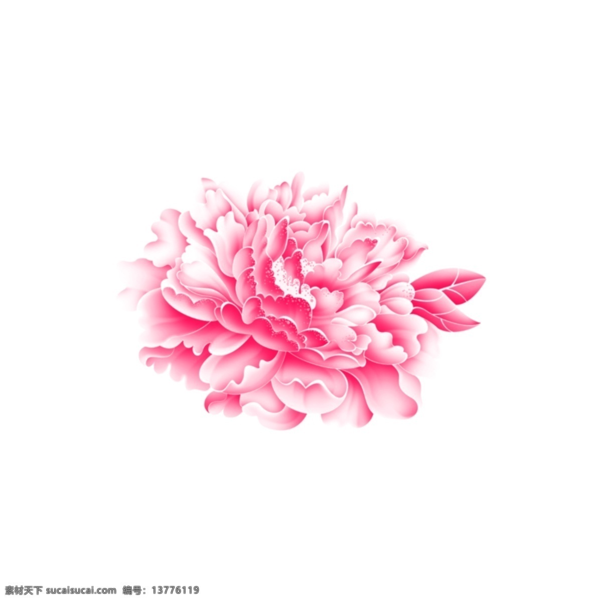 花朵 服装 叶子 白花 循环花 无缝 数码 大花 树叶 线描 黑白 乱花 花 玫瑰 百合 服装设计 植物 鸟 豹纹 晕染几何 美图 鹦鹉 热带花 热带植物 水墨 花卉 矢量 手绘 水彩 数码印花 服装印花 潮牌印花 沙滩裤 腰果花 分层