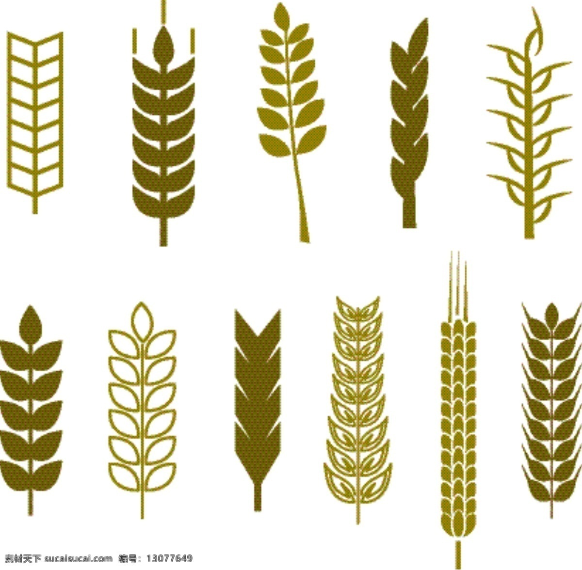 种 卡通 麦穗 合集 插画 矢量图 粮食 设计素材 谷物 五谷 手绘麦子 小麦合集 插画元素 小麦元素 金色小麦 卡通小麦 成熟的麦穗