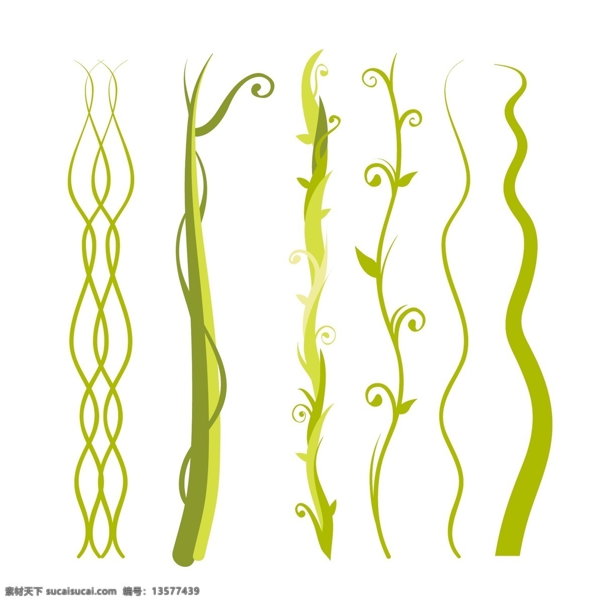 蔓藤 植物 生长 绿色 花草 缠绕 海草 生物世界