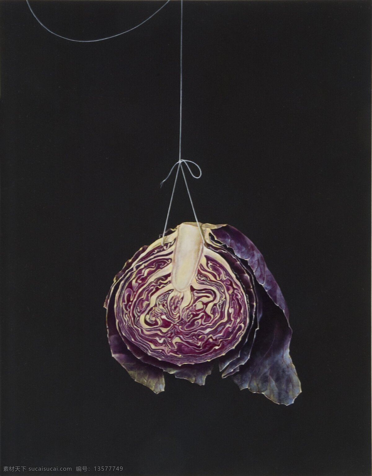 紫色 包 菜 油画 名画 艺术 绘画 文化艺术 艺术画 艺术品 世界名画 书画文字