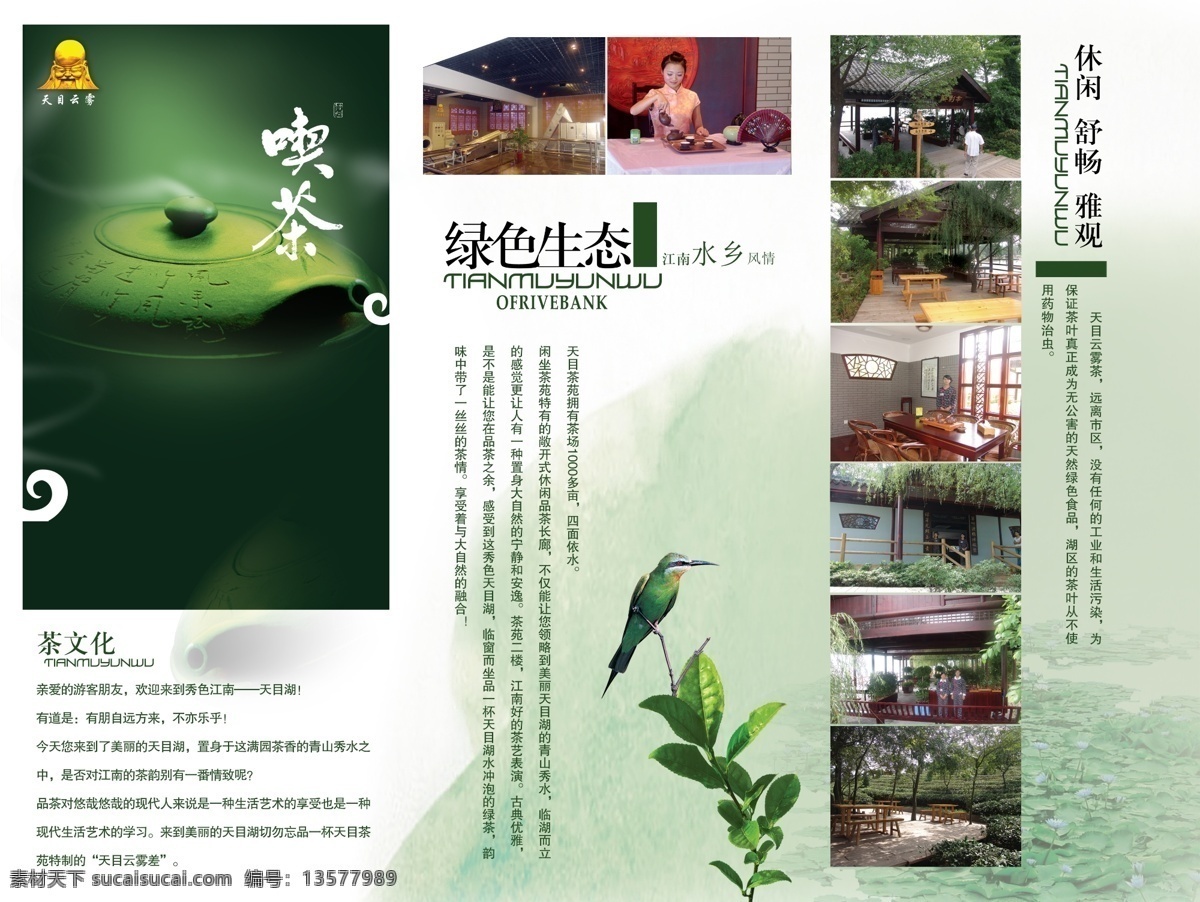 茶叶 宣传单 绿色 经典 大气 养生 折页 公司介绍 蓝色 爱心 新茶 绿茶野生绿茶