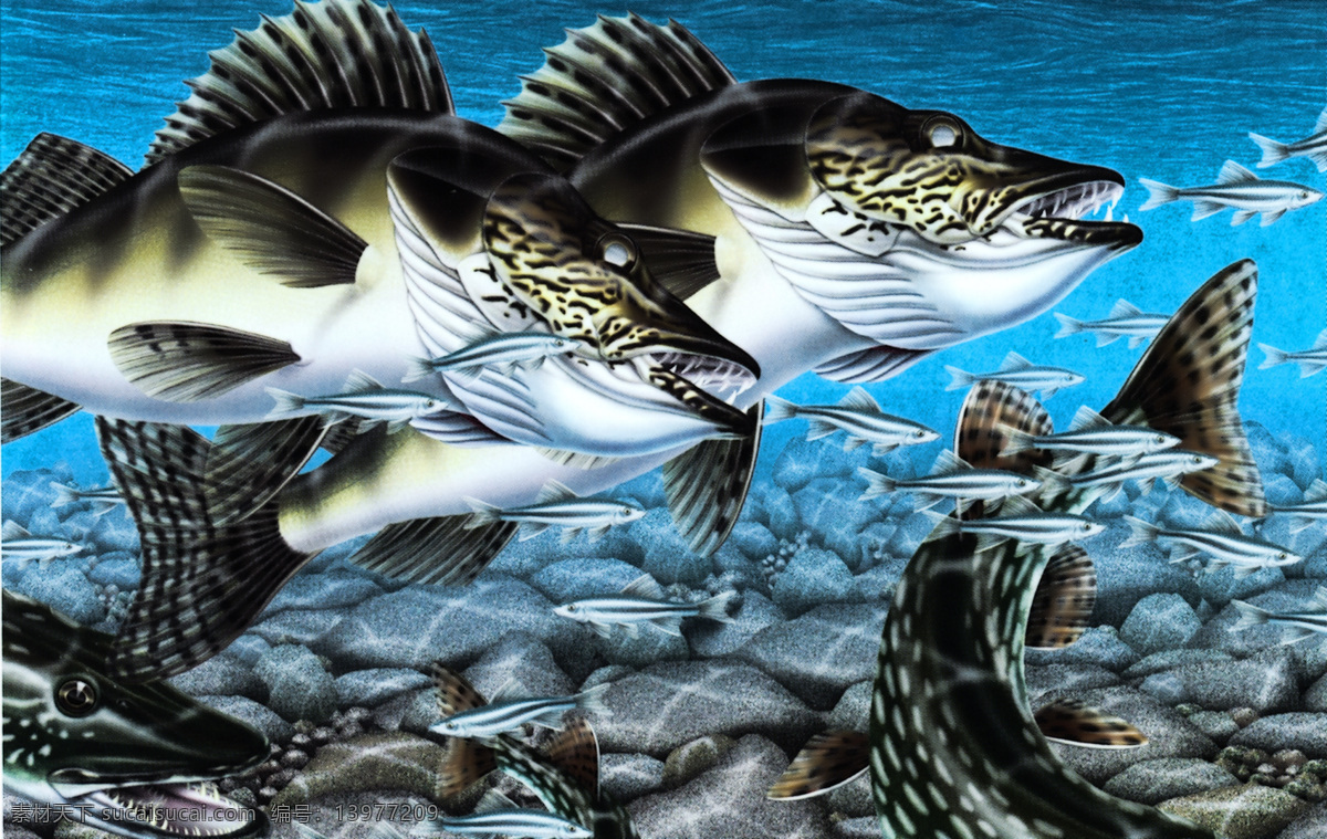 凶猛的深海鱼 超写实 绘画 插画 鱼 深海鱼 凶残 食肉 猎食 绘画书法 文化艺术