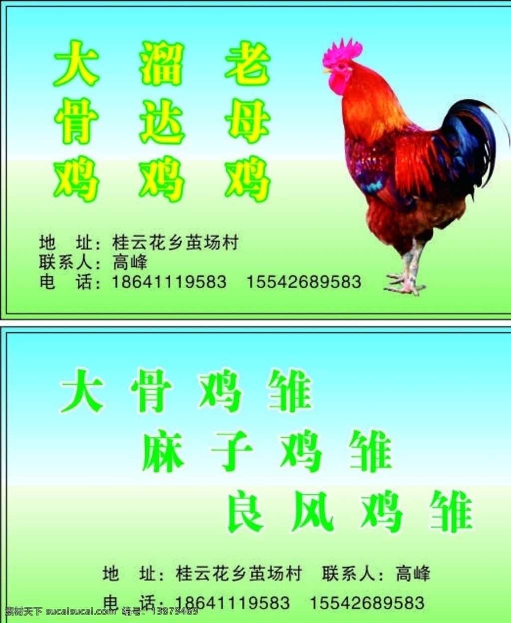 名片 鸡 大骨鸡 溜达鸡 老母鸡 麻子鸡 良风鸡 渐变 名片卡片