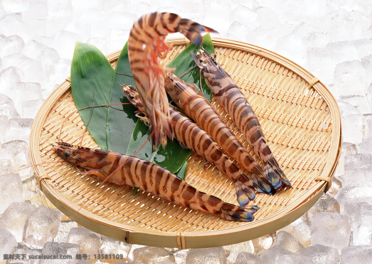 鲜活基围虾 基围虾 鲜活 鲜活基围虾虾 美味 食物 虾 美食摄影 菜谱 餐饮美食 食物原料 海产 水产 渔业 食品 美食 摄影图库