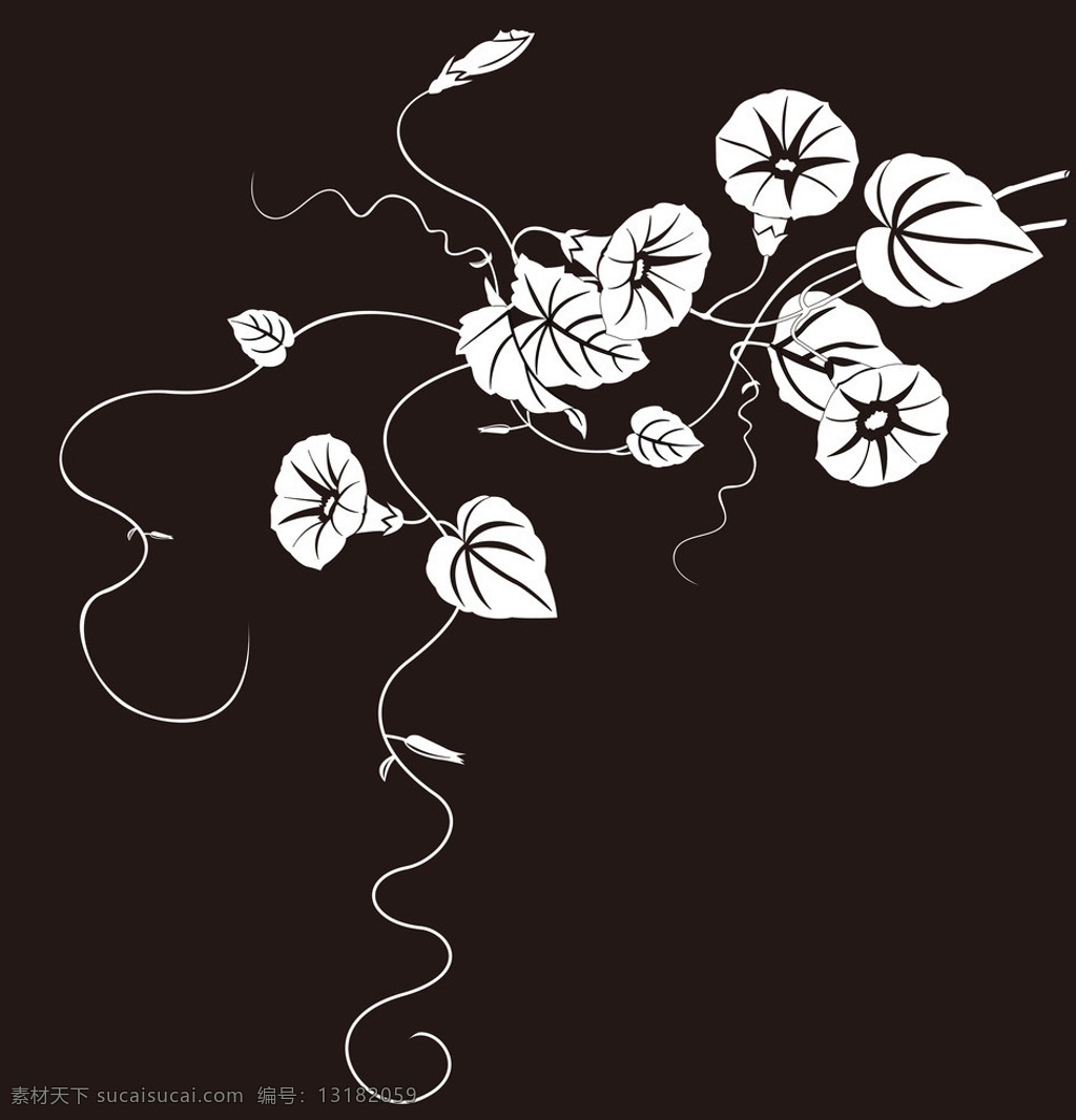 牵牛花 线稿 插画 车贴 喇叭花 白描 鲜花 剪纸 绿色 其他设计 矢量