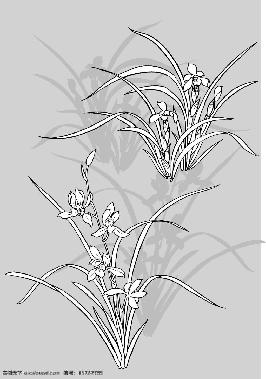 花卉 动物 图案 底纹 白描 花纹 线稿 花卉动物 底纹边框