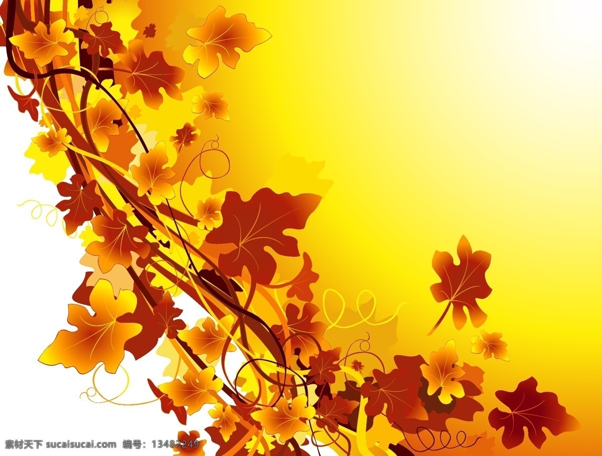 一个 优秀 颜色 葡萄 树 矢量 材料 常春藤 秋天 藤 阳光 叶 植物 过渡颜色 金 矢量种植葡萄 优良的 矢量图 日常生活