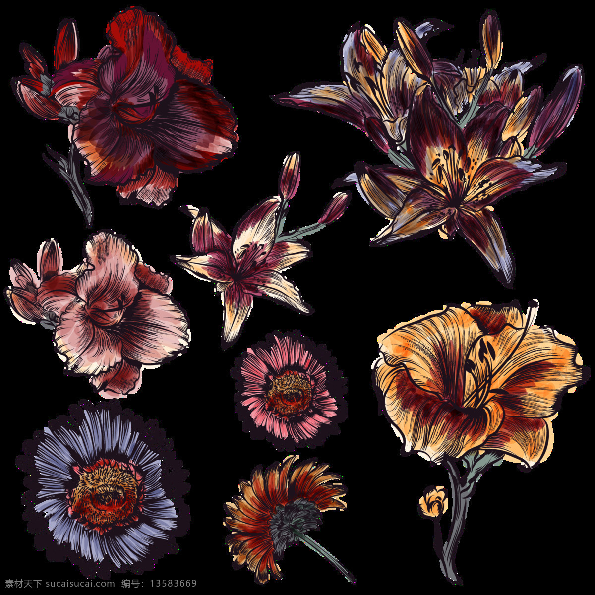 暗黑 系 深色 手绘 菊花 装饰 元素 暗黑系 花朵 植物 装饰元素