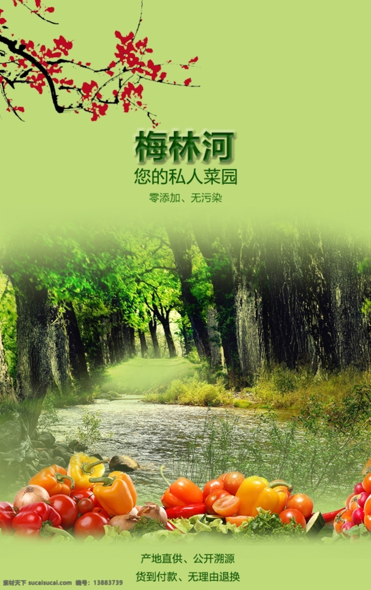 蔬菜 手机 端 海报 封面设计 排版 小河 森林 黄色