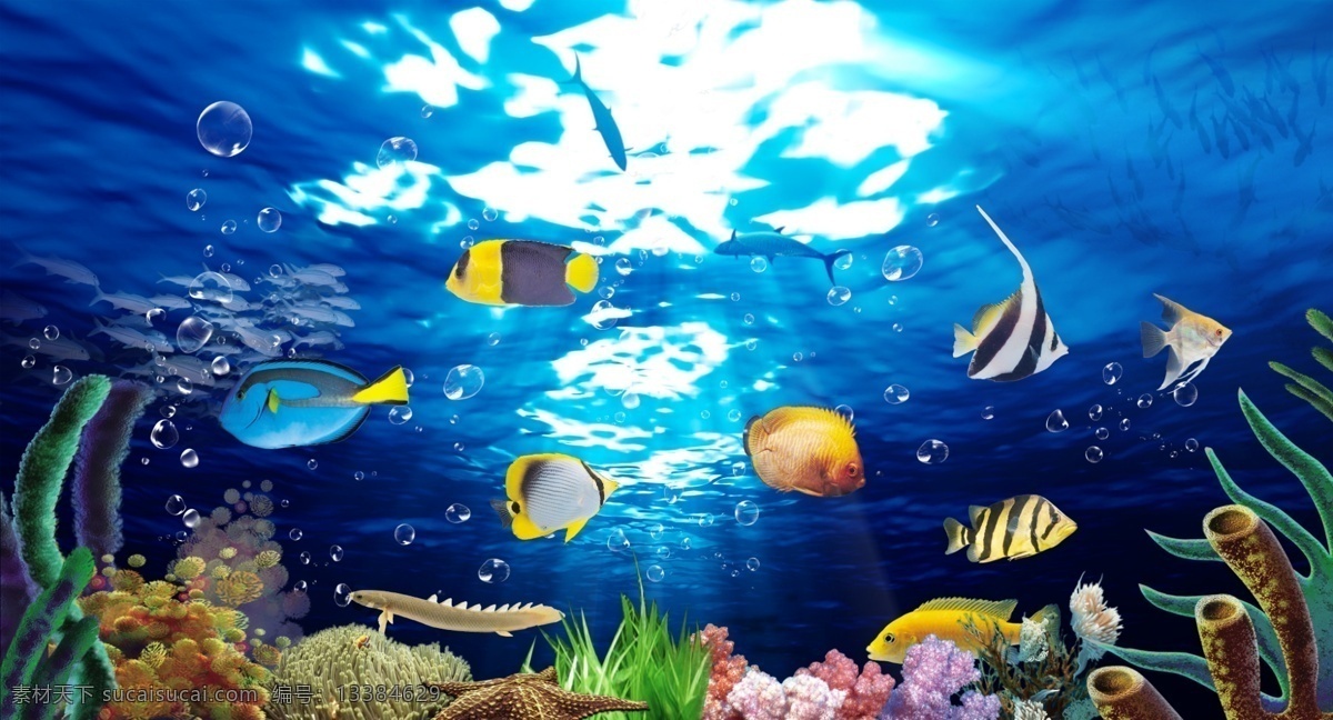 海底世界 珊瑚 海底 动物 水族馆 小鱼 海水缸 海洋生物 海洋世界 珊瑚素材 鱼类海鱼 海洋公园 生物世界 鱼类