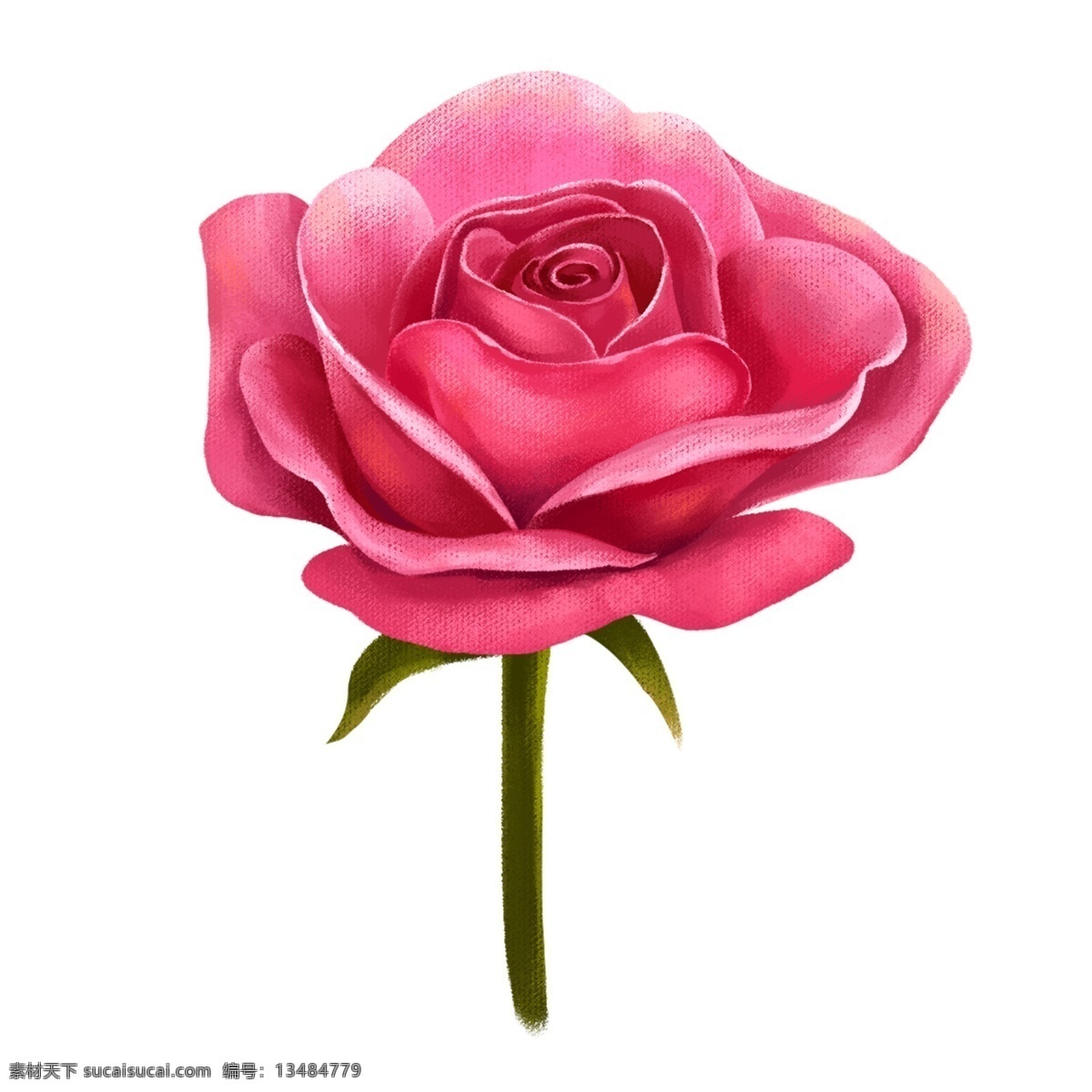 情人节 红色 玫瑰花 红色的玫瑰花 鲜花花卉 浪漫玫瑰花 玫瑰花装饰 小 物 插画 漂亮的玫瑰花 鲜花玫瑰花