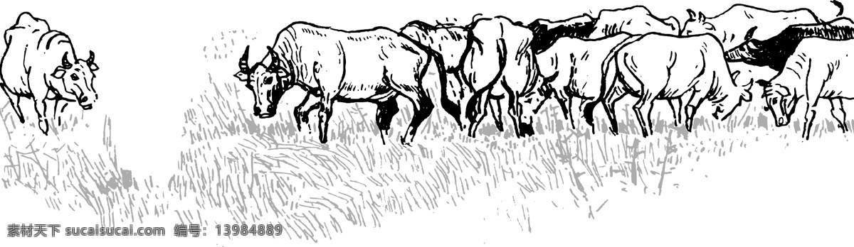 群牛 吃草的牛群 其他矢量 矢量素材 矢量图库