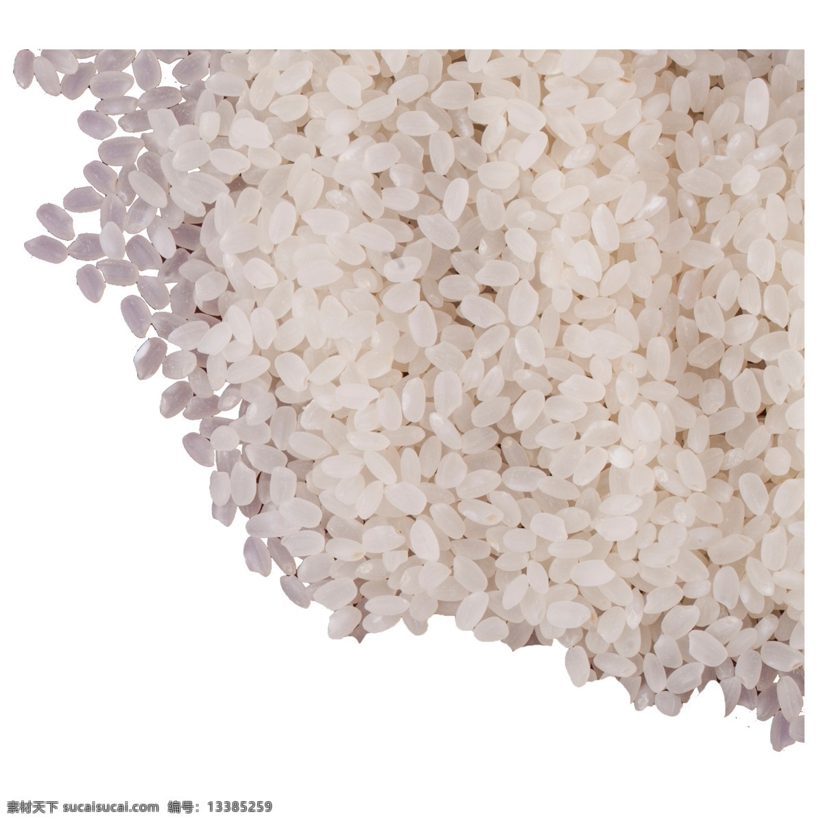 实拍 堆 五谷 粮食 大米 杂粮 食物 家用食物 大米粥 米 白色大米 实拍大米 实拍粮食大米 实拍一堆大米