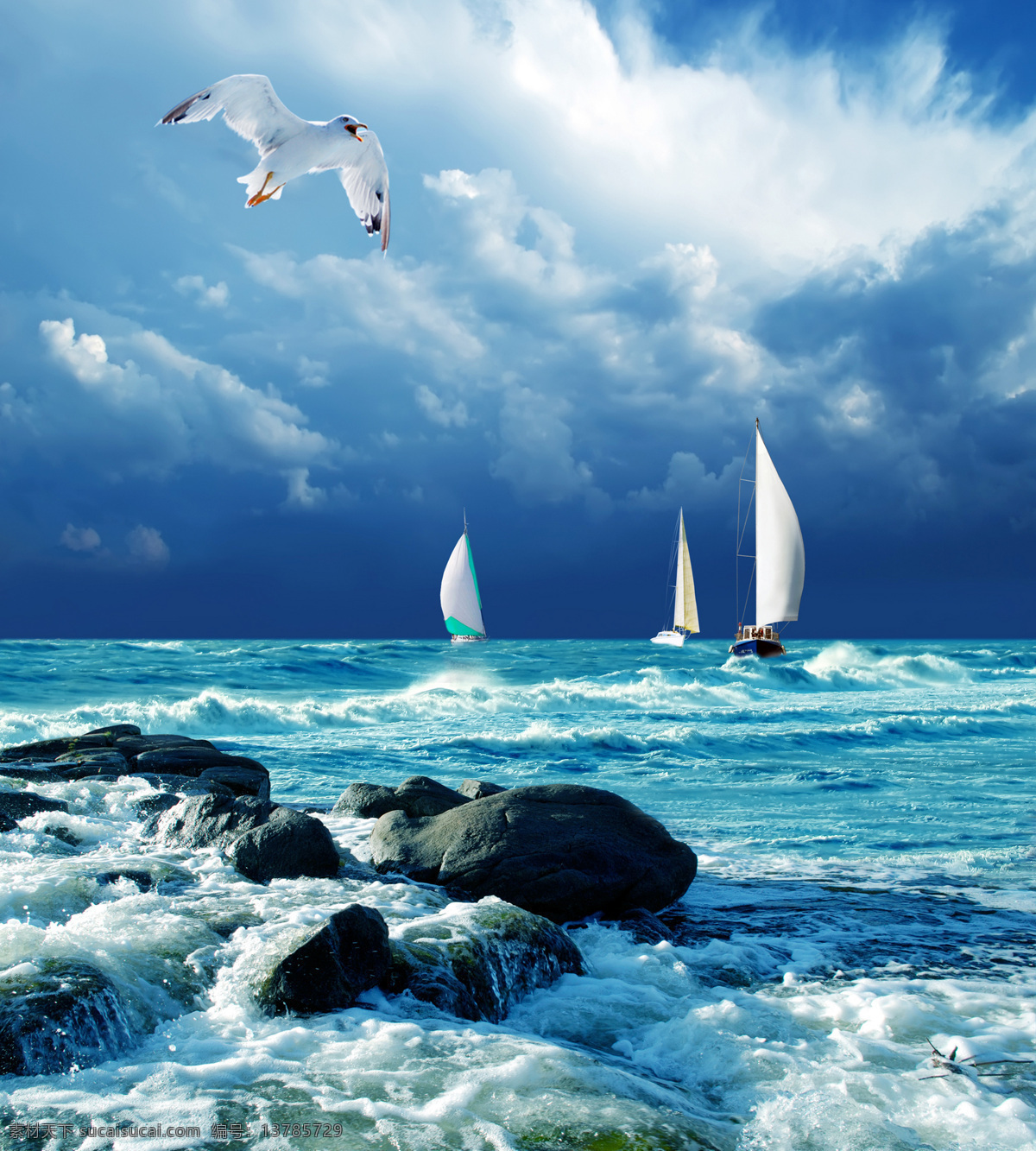 乘风破浪 帆船 远航 大海 蓝天 白云 海鸥 大海风光 礁石 海边 海岸 海边风光 自然风景 自然景观