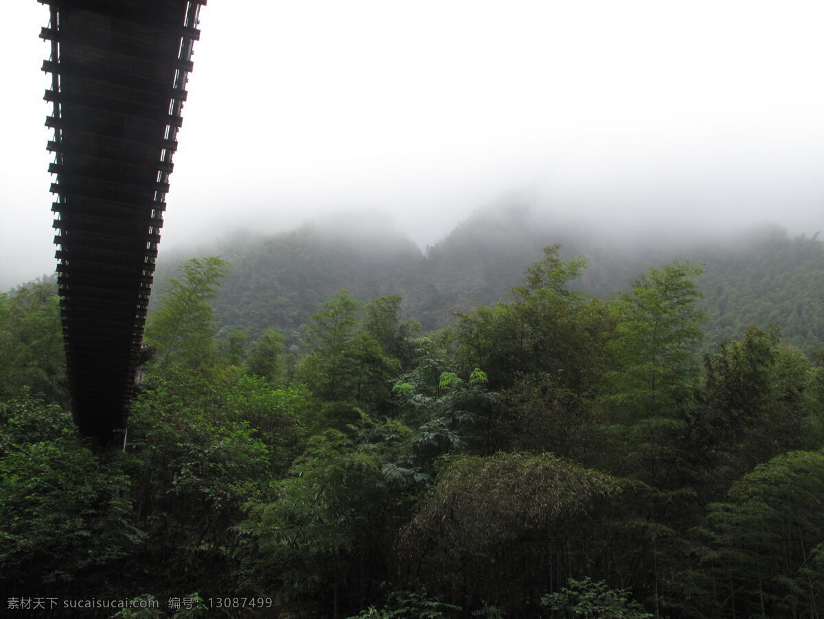 吊桥 飞跃 竹海 旅游摄影 绿色 云雾 自然风景 吊桥飞跃竹海 横渡 矢量图 日常生活