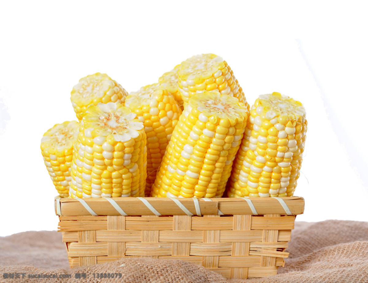玉米棒子 摄影图片 玉米 苞谷 粮食 玉米摄影 其他类别 生活百科 白色