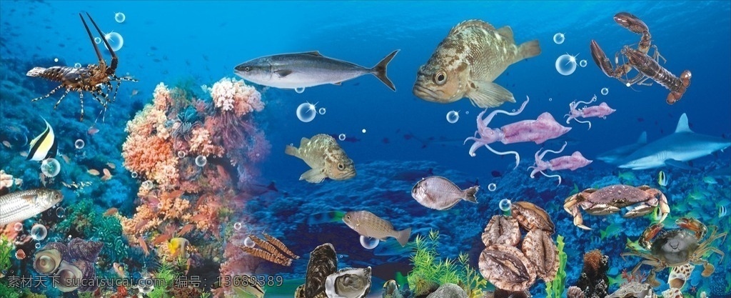 海洋世界 海鲜 海鲜海报 鱼 海鲜广告 水底世界 螃蟹 龙虾 鱼龙混杂 海洋生物 鱼类 贝类