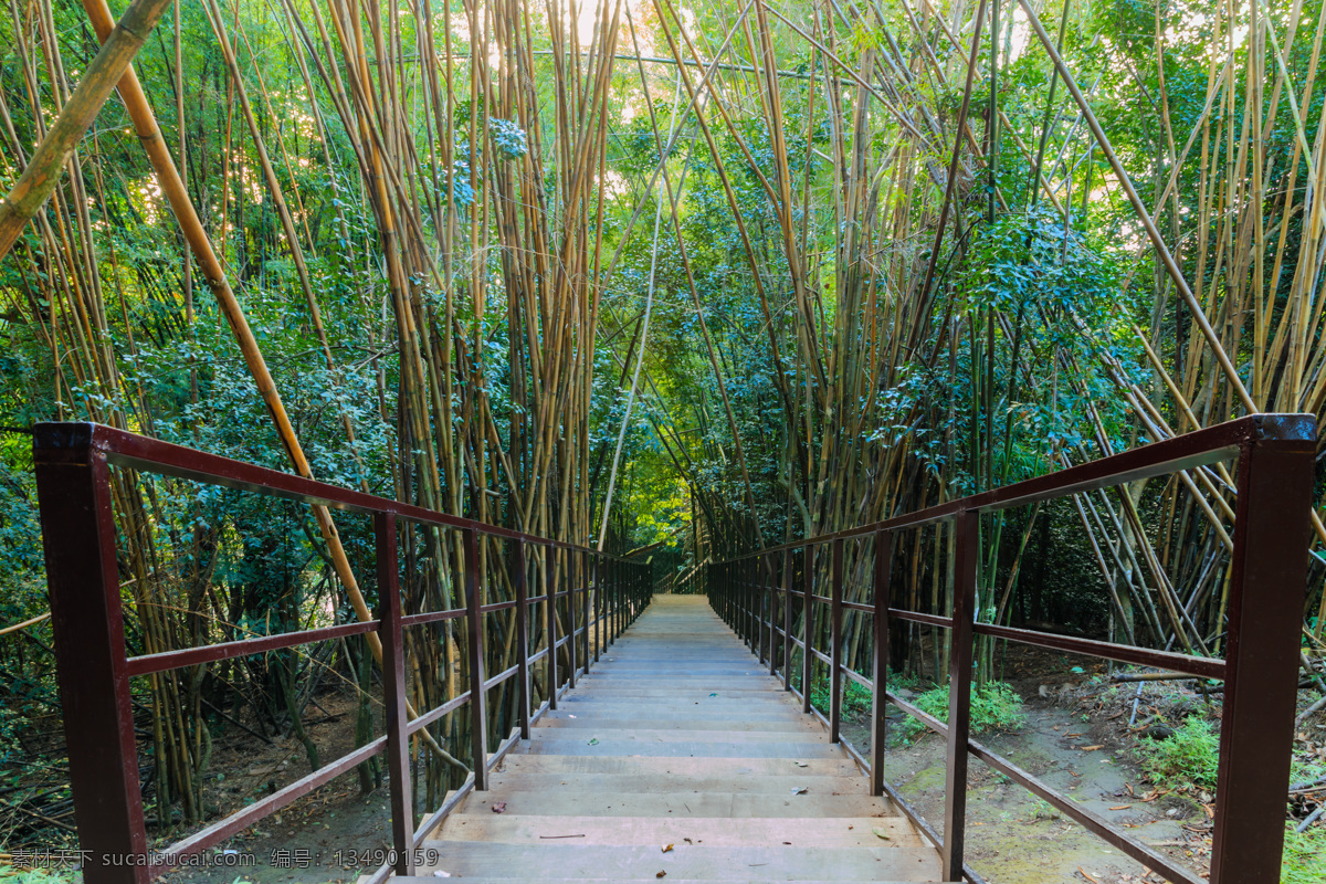 竹林里的阶梯 阶梯 竹林风景 竹子 美丽竹林景色 美丽风景 自然美景 自然风景 自然景观 黑色