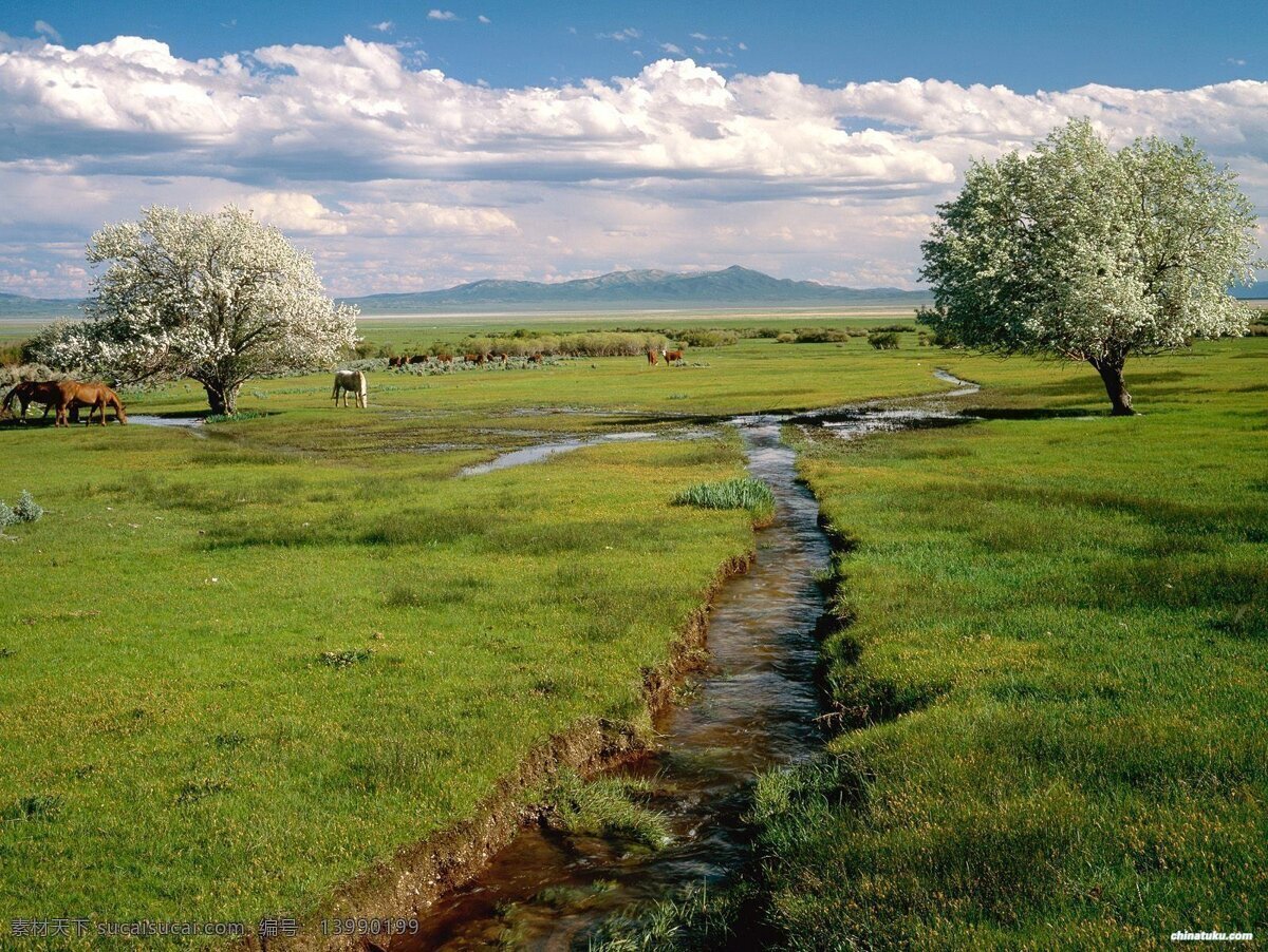 美丽大自然 大自然 风光 风光摄影 风光照片 风景 风景摄影 风景照片 摄影图 自然 自然风光 自然风景 风景照片素材 自然风光摄影 生活 旅游餐饮