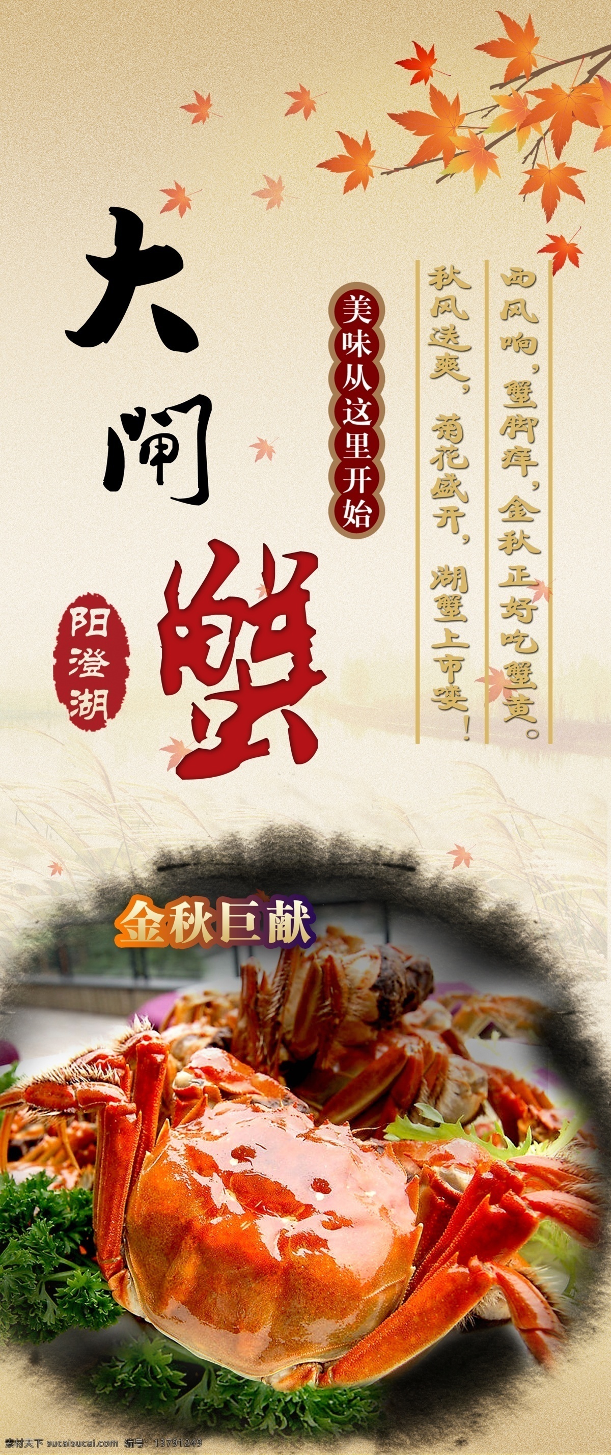 阳澄湖 大闸蟹 展架 螃蟹 海报 殿架 餐饮美食 餐饮广告 宣传广告 菜品 易拉宝 台卡 台插 宣传单 广告设计模板 源文件