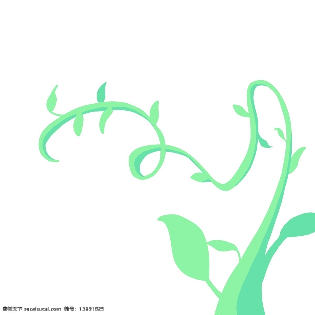 植物 藤蔓 枝蔓 插画 绿色 花卉 花枝 植物藤蔓 枝蔓插画 绿色植物 植物插画 唯美绿色枝蔓
