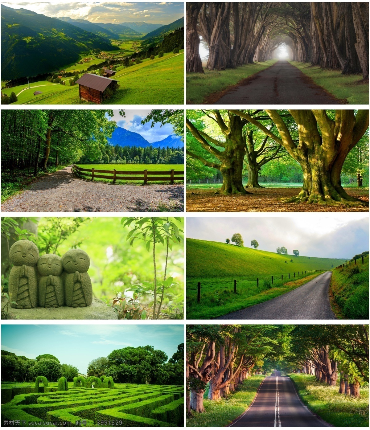 绿色森林背景 绿色 大树 森林 背景 淘宝背景 迷宫 黑色