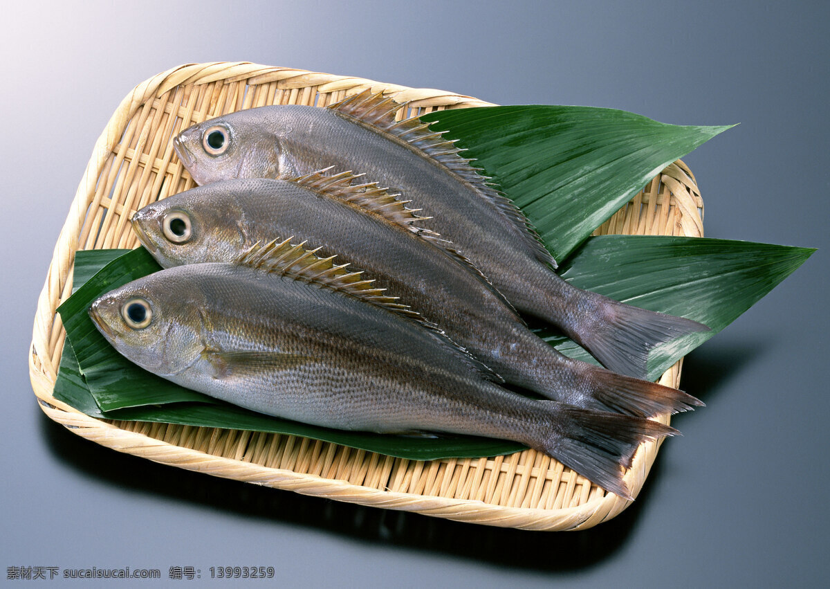 鲜鱼 海产品 水产品 海鱼 海鲜 鱼虾 贝类 水 生物 生物世界 鱼类