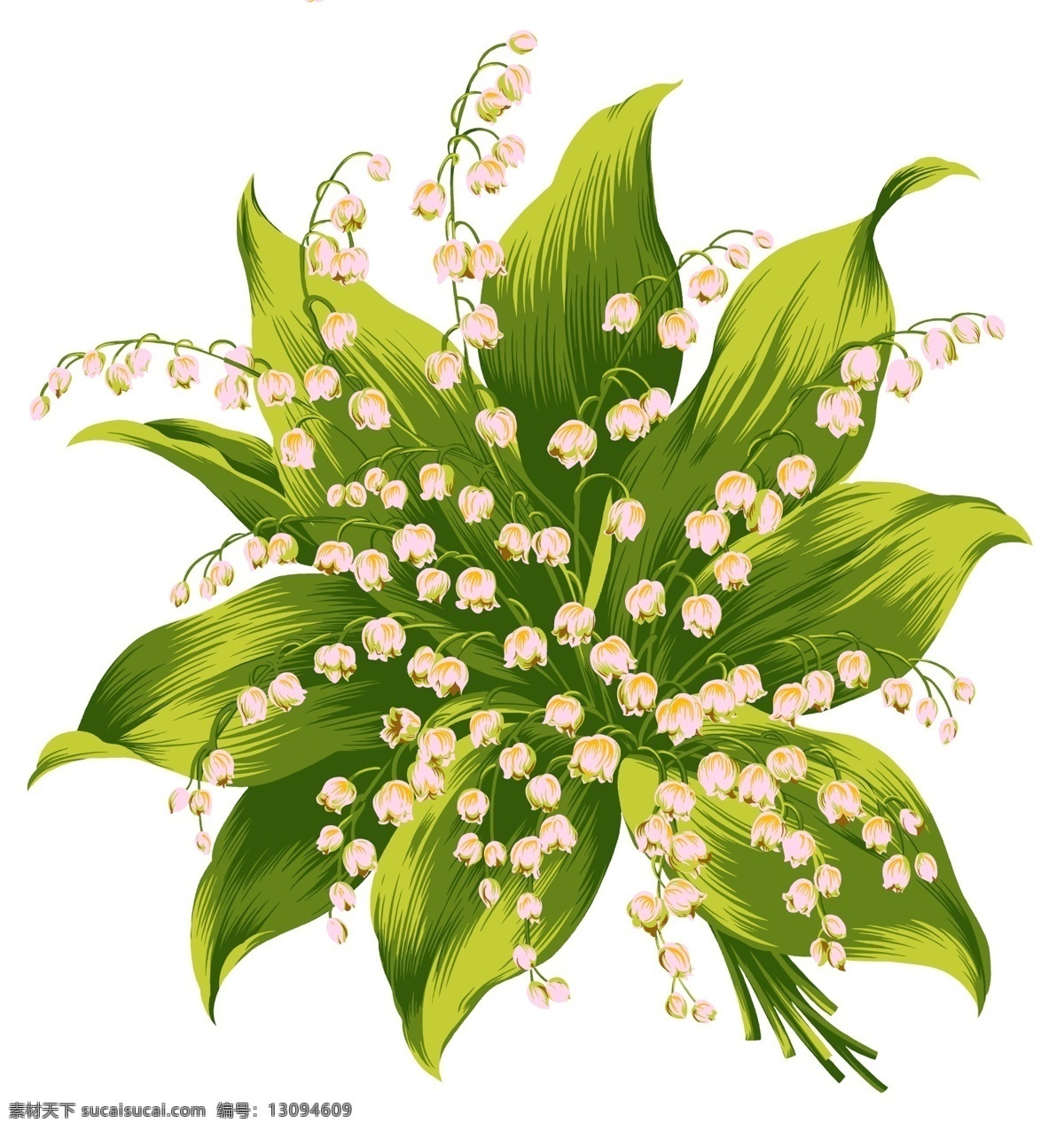 彩绘花草 韩式花纹 psd0536 设计素材 花草主题 装饰图案 psd源文件 白色