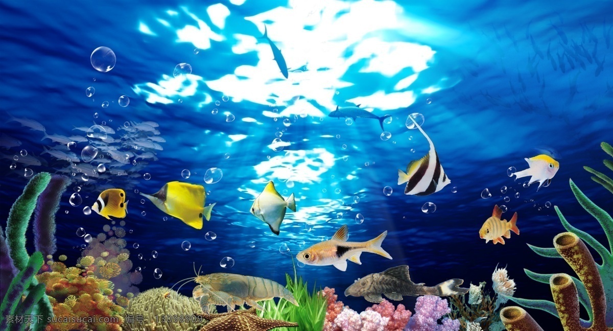 珊瑚 海底 动物 水族馆 小鱼 海水缸 海底世界 海洋生物 海洋世界 珊瑚素材 鱼类海鱼 海洋公园 生物世界 鱼类