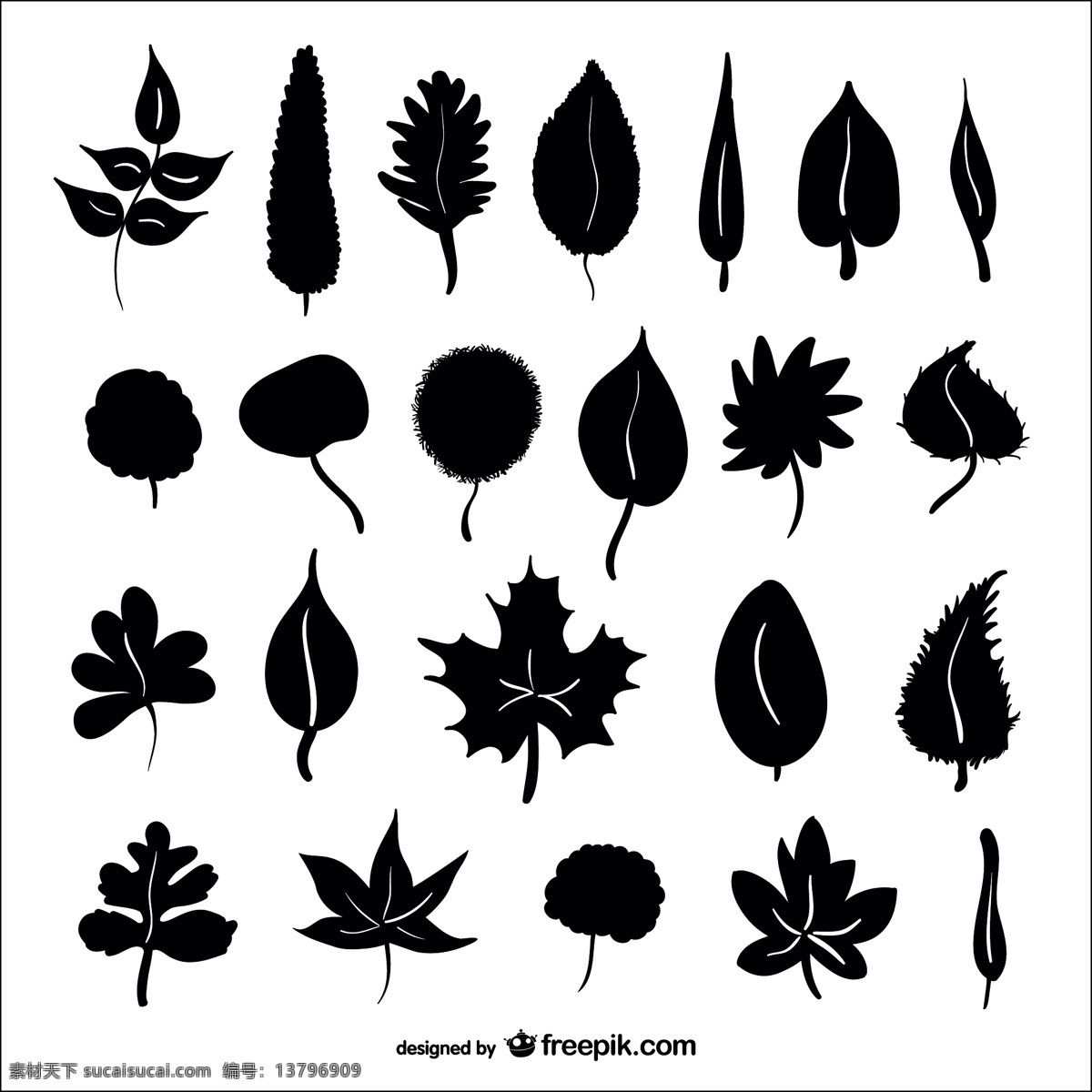 秋天 树叶 剪影 自然 叶子的轮廓 布局 黑色 符号 符号的轮廓 秋天的落叶 季节 设置水平 收集 lef 白色