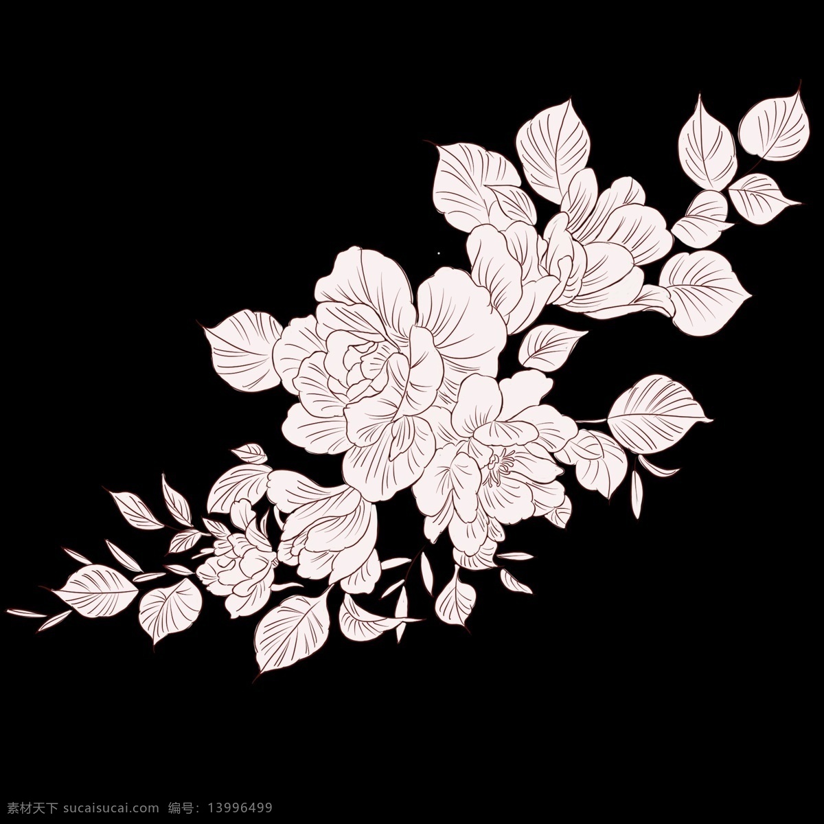 黑白 线条 花卉 手绘 植物 花草 花线 稿 手绘线条植物 手绘花 花朵 手绘花卉 花草树木 叶子 花朵线稿 手绘风格