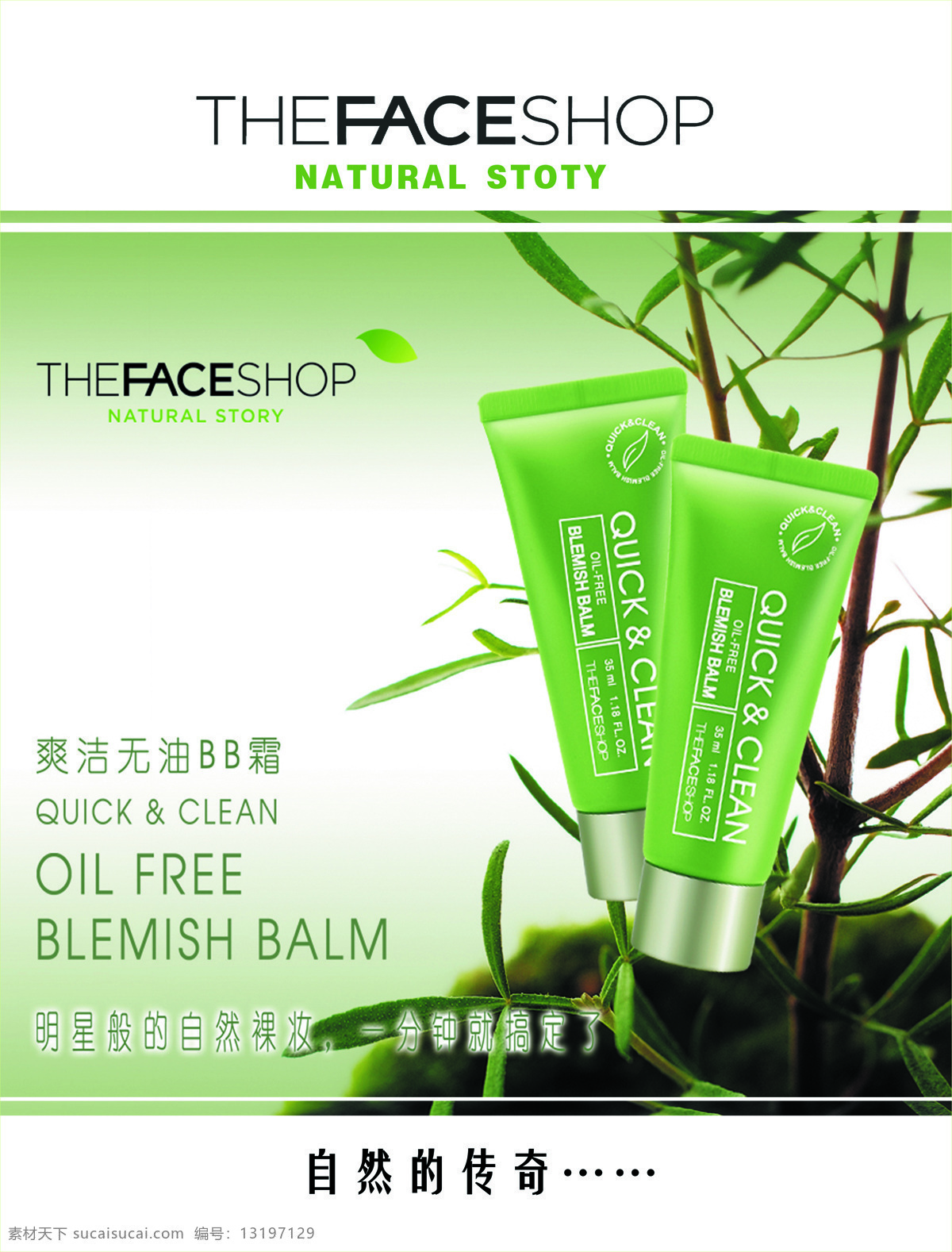 化妆品 the 树叶 竹 化妆品the faceshop 矢量图 日常生活