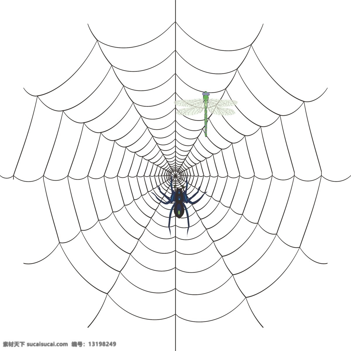 蜘蛛网 昆虫 蜻蜓 生物世界 蜘蛛 网 黑网 矢量
