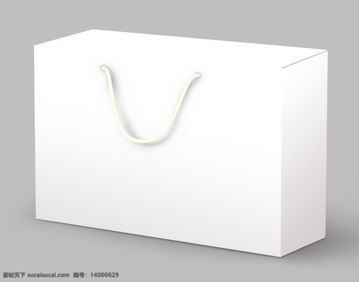 手提袋 展示 样机 礼物 礼盒 盒子 包装设计 包装样机 盒子样机 效果图 展示图 袋子