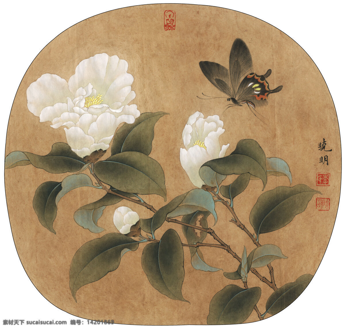 古风 类 花鸟 工笔画 宋 山茶 蝴蝶 图 古风类 绘画艺术 传世名画 工笔 绘画 书法 文化艺术 绘画书法