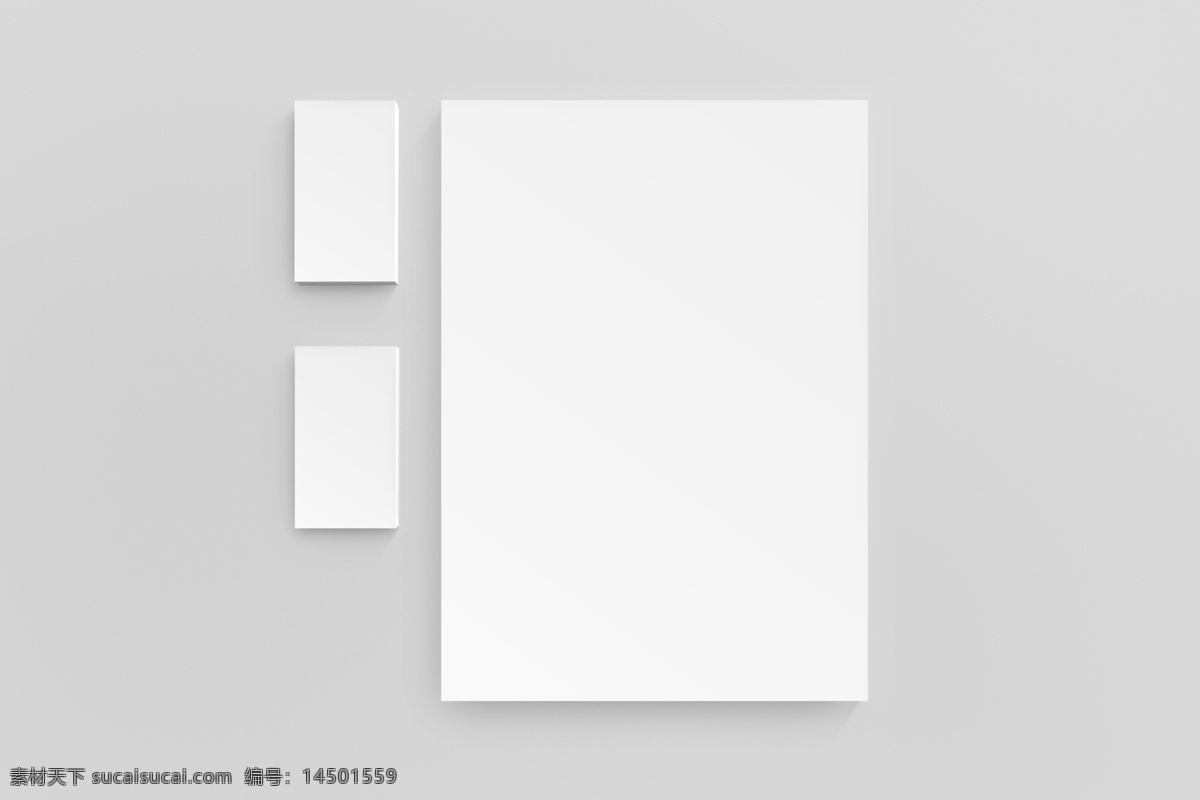 高端 纸品 贴图 模版 效果图 提案 样机 高端纸品 白色