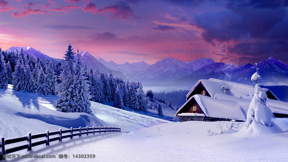 乡村 雪景 雪 桌面 松林 背景图片