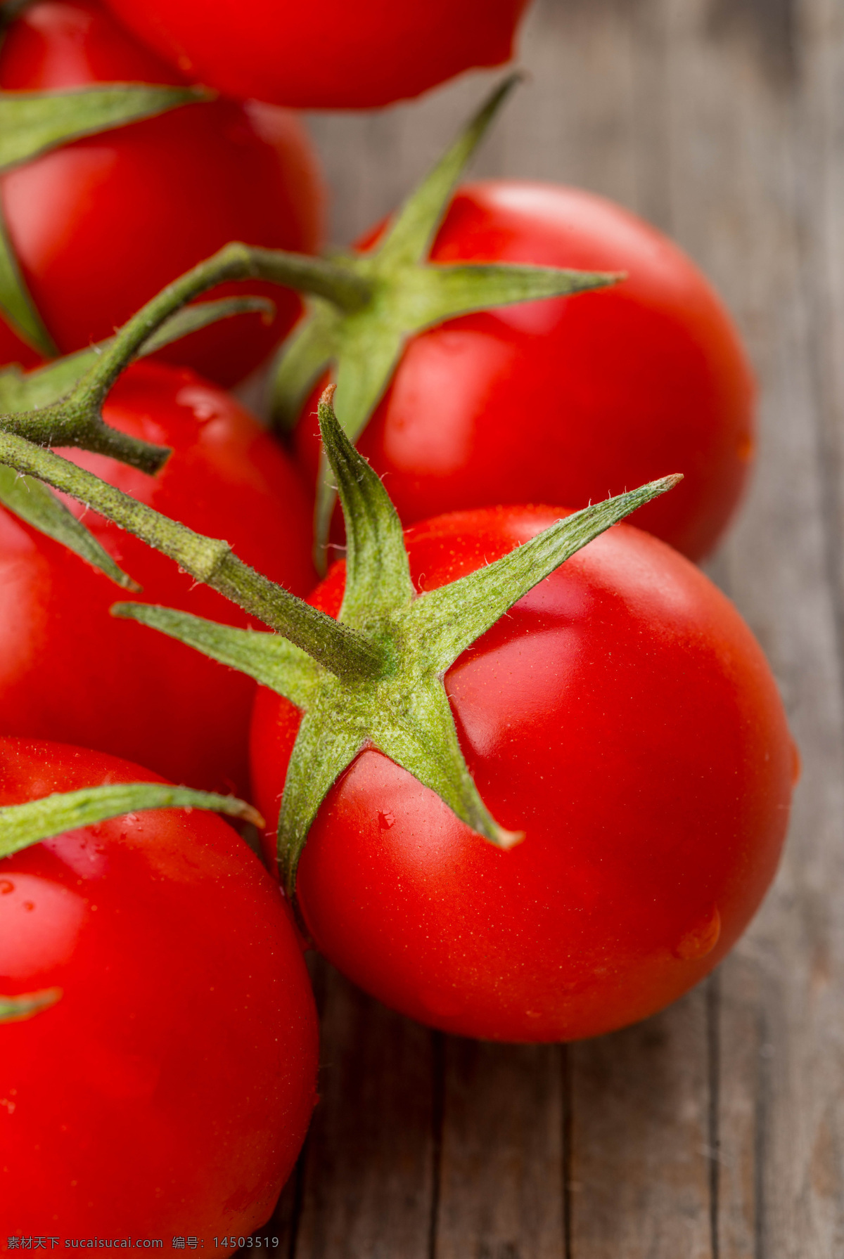 新鲜 番茄 新鲜番茄图片 西红柿 新鲜蔬菜 新鲜番茄 水果蔬菜 餐饮美食 红色